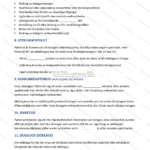 Utskriven sida 4 av 6 av ett aktieägaravtal på A4-format, text med rubriker och paragrafer