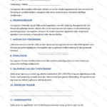 Arrendeavtal för parkeringsplats på A4-papper, sida 3 av 5, skalad bild av dokument