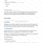 Skannad A4-sida av bemanningsavtal, sida 3 av 5 med text och rubriker