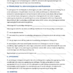A4-dokument, sidor 3–4 av ett anställningsavtal om bisyssla med tryckt text och underskrifter
