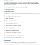 Sida 3–4 av ett A4 fabrikshallsuthyrningsavtal, tryckt dokument med text och paragrafer