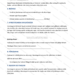 Sidor 3–4 av A4-formaterat fordonsuthyrningsavtal med text, punkter och avtalsvillkor