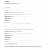 Första sidan av ett IT-tjänstavtal i A4-format med rubrik och löpande paragraftext