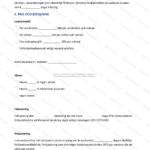 Tredje sidan i ett A4 IT-tjänstavtal, tryckt dokument med text, rubriker och punktlistor