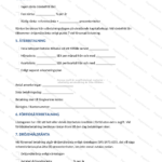 Andra sidan av ett kreditavtal (A4), utskrivet dokument med text och signaturrutor