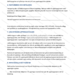 A4-sida med lättföretagaravtal (sida 3) med text, rubriker och punktlistor