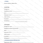 Första sidan av ett A4-licensavtal för programvara, texttätt dokument med rubrik och styckeindelning