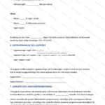Tredje sidan av ett A4-licensavtal för programvara, med tryckt löptext, paragrafer och signaturruta.