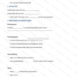 Andra sidan av ett provisionsbaserat försäljningsavtal (A4), skannat dokument med tryckt text.