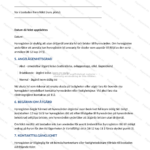 Andra sidan av A4‑formulär för reparationsanmälan med textfält, kryssrutor och instruktioner