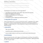 Tredje sidan av ett A4-sponsoravtal, utskrivet dokument med text och underskriftsfält