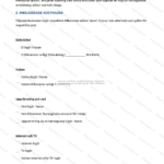 Tredje sidan av ett stuguthyrningsavtal i A4-format med text, numrerade villkor och underskriftsfält