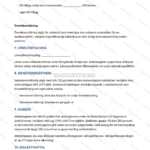 Tredje sidan av ett timanställningsavtal i A4-format, utskrivet dokument med text och underskriftsfält.