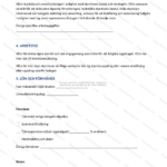 Sida 2 av ett VD-avtal i A4-format, tryckt text med rubriker, punktlistor och plats för underskrift