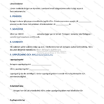 Tredje sidan av ett VD‑avtal på A4, utskriven sida med textparagrafer och signaturruta