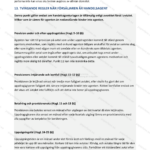 Femte sidan av provisionsavtal För Säljare i A4-format